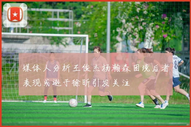 媒体人分析王俊杰杨瀚森困境后者表现或逊于徐昕引发关注